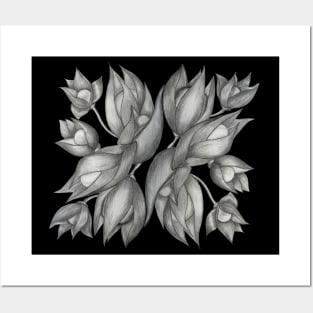 Black and White flowers. Pencil drawing. Sketch Posters and Art